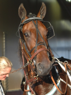 Quality Queastioned 140708-14